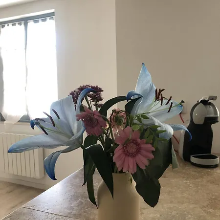 Et Lumineux * Caussade