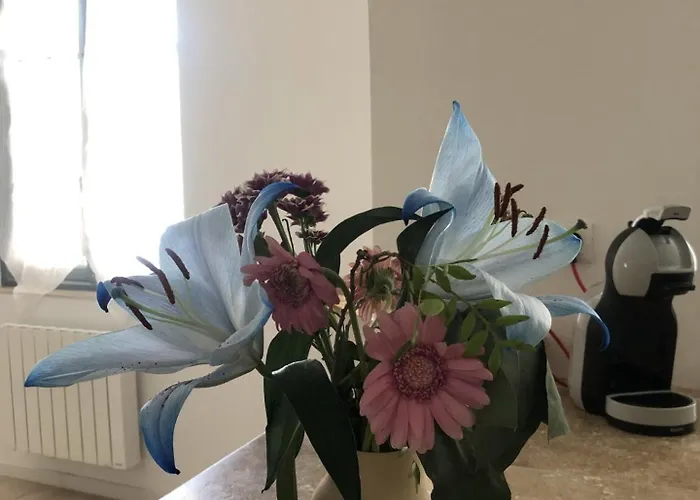 Et Lumineux * 库沙达